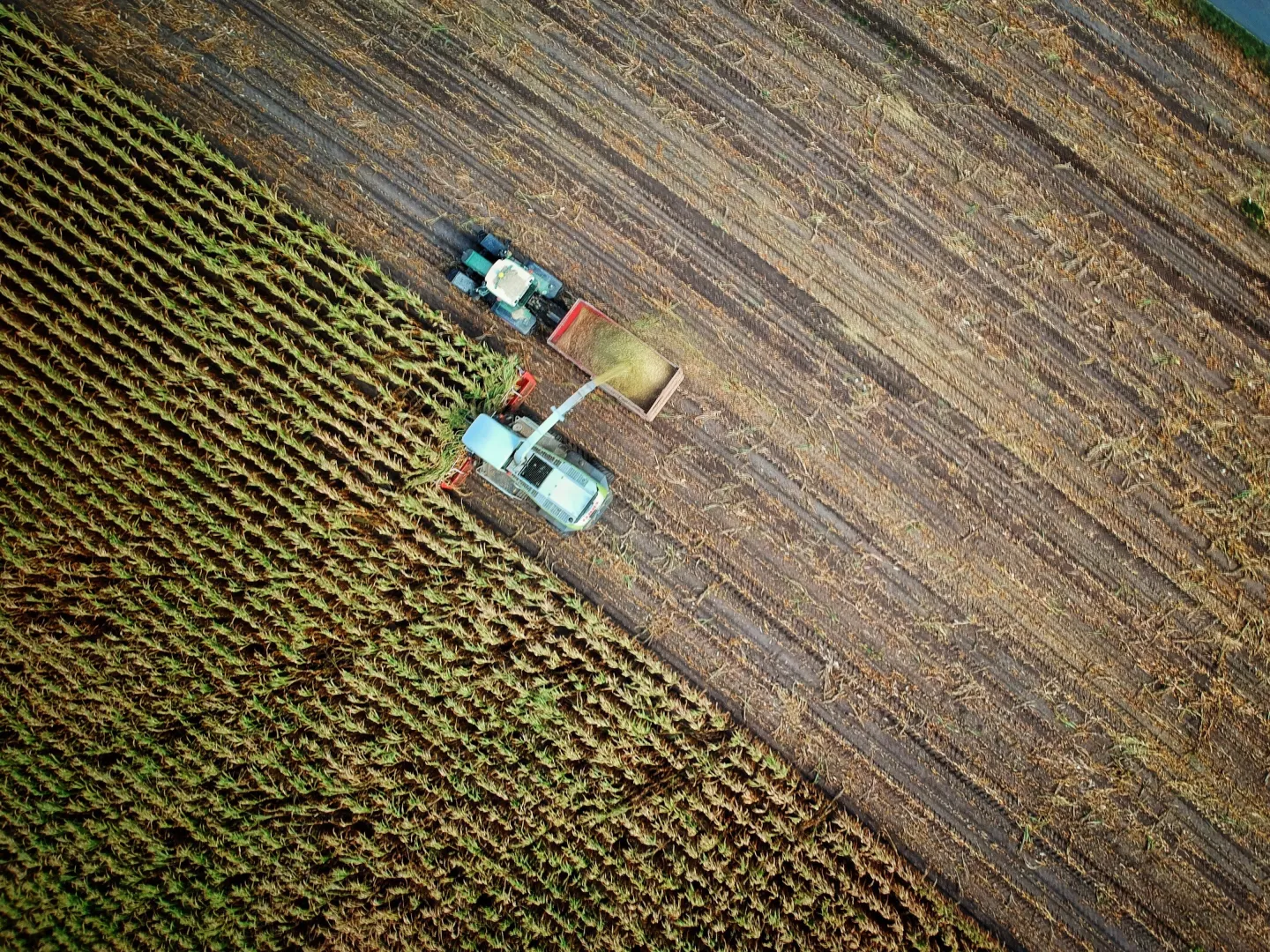 Agricultural machinery working on farmland